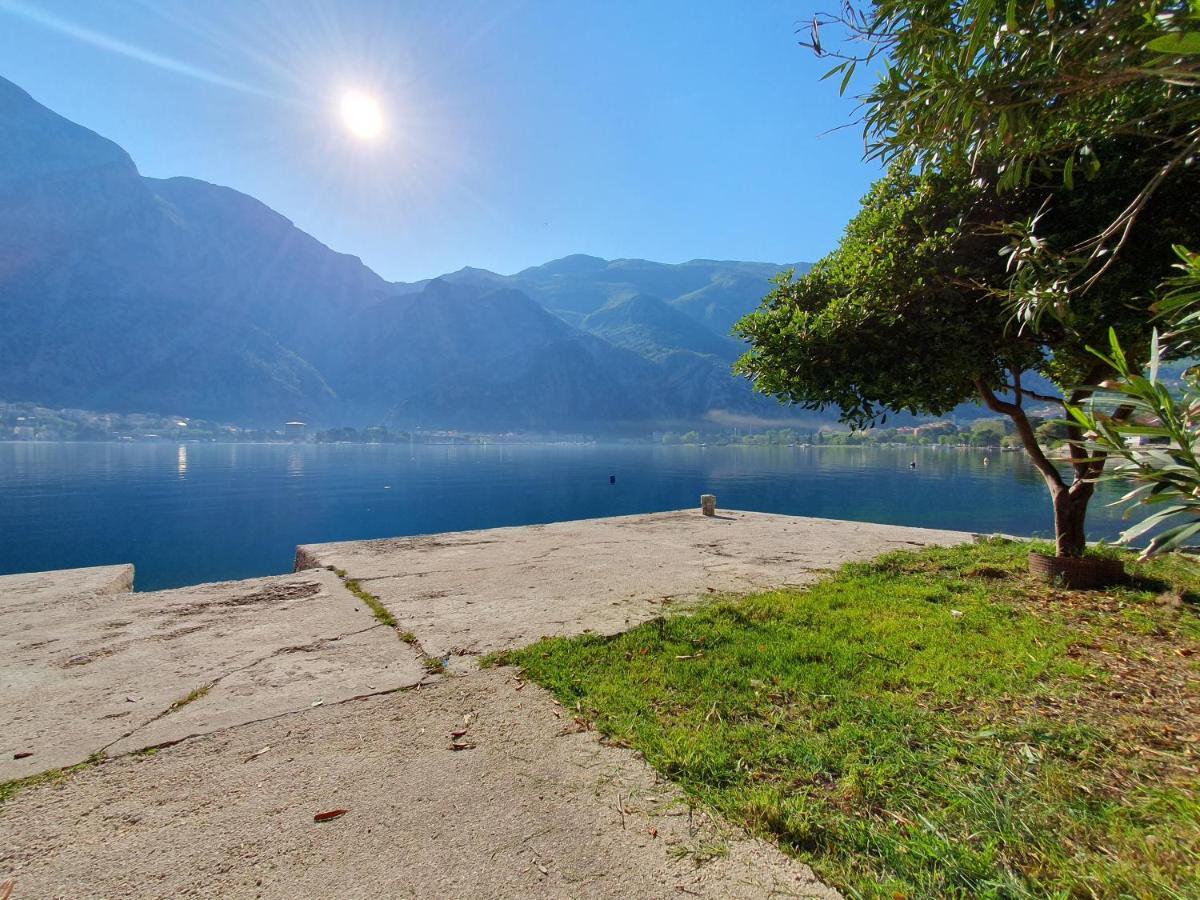 Apartman Pontica Kotor Dış mekan fotoğraf
