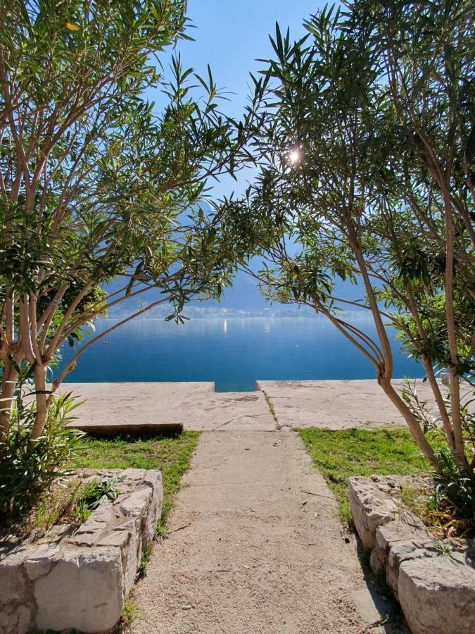 Apartman Pontica Kotor Dış mekan fotoğraf
