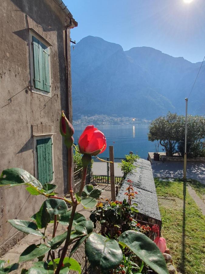 Apartman Pontica Kotor Dış mekan fotoğraf