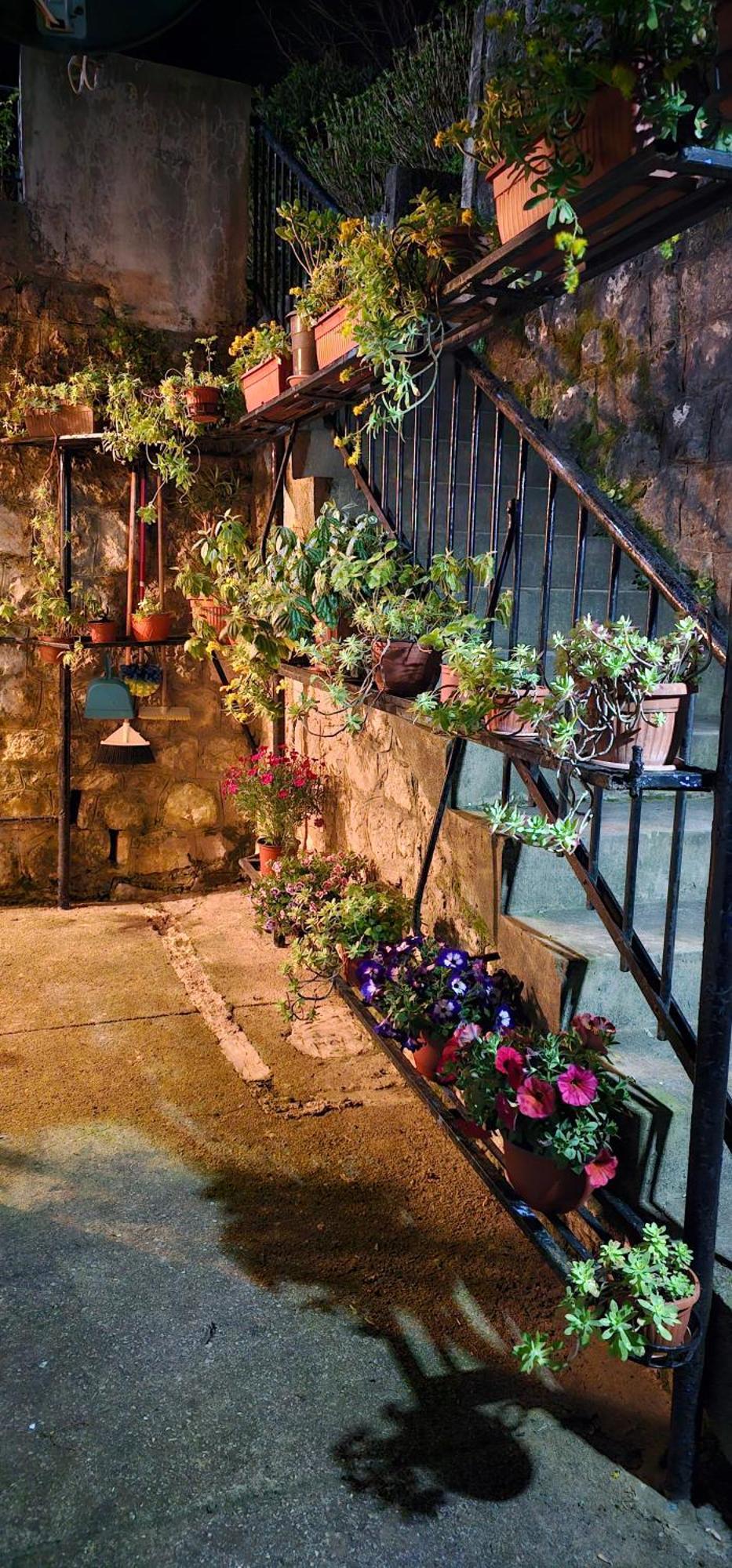 Apartman Pontica Kotor Dış mekan fotoğraf